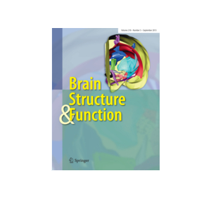 BrainStructureFunction