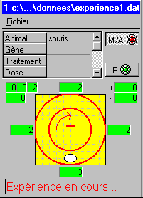 Screenshot of the software that manages experiments of circular corridors 